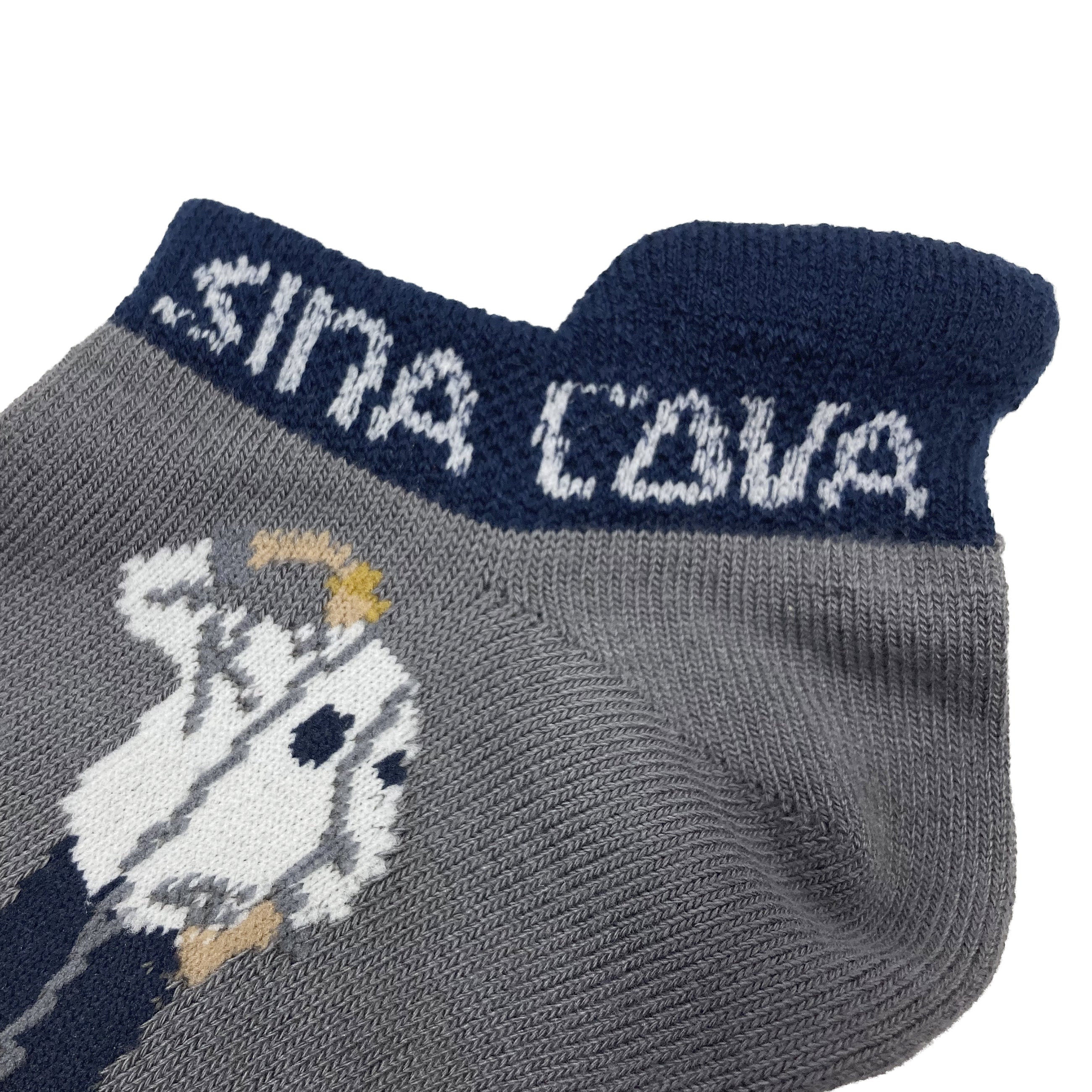 運動鞋襪(25公分-27公分)26177460