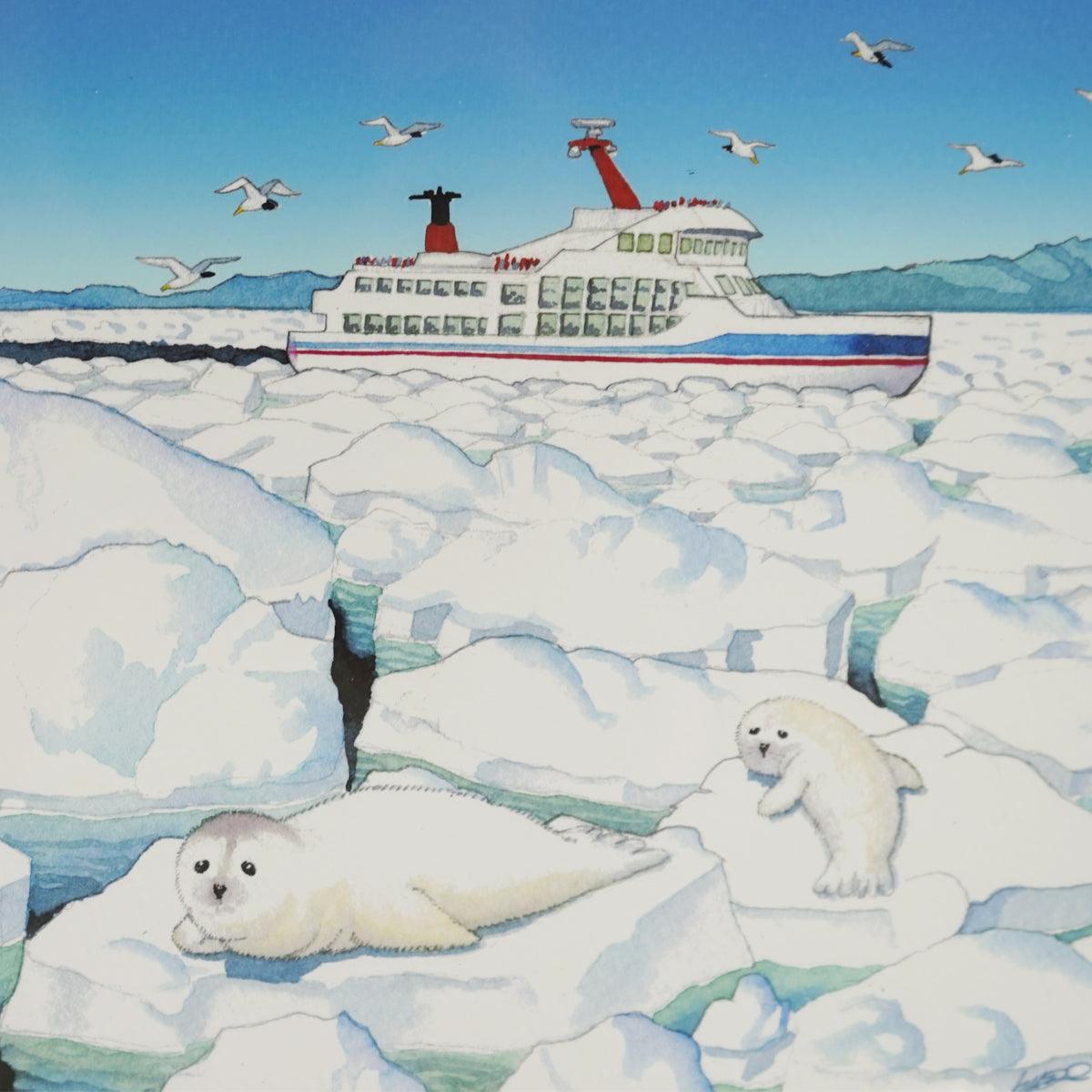 Tadami 『子アザラシS』 57000480 - SINA COVA