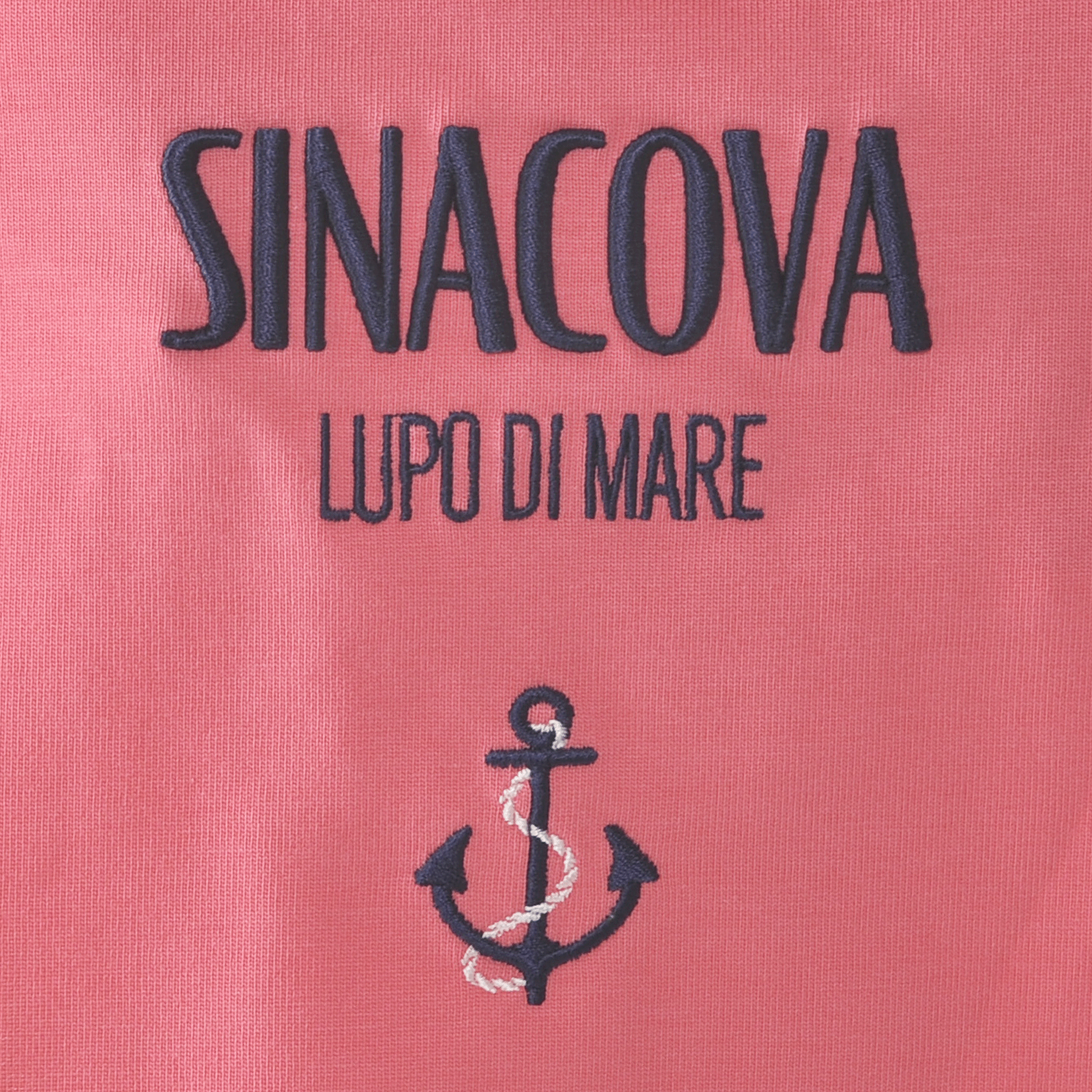 【官方】SINA COVA 短袖T卹，男女通用，尺寸S-LL，商品編號：23110550